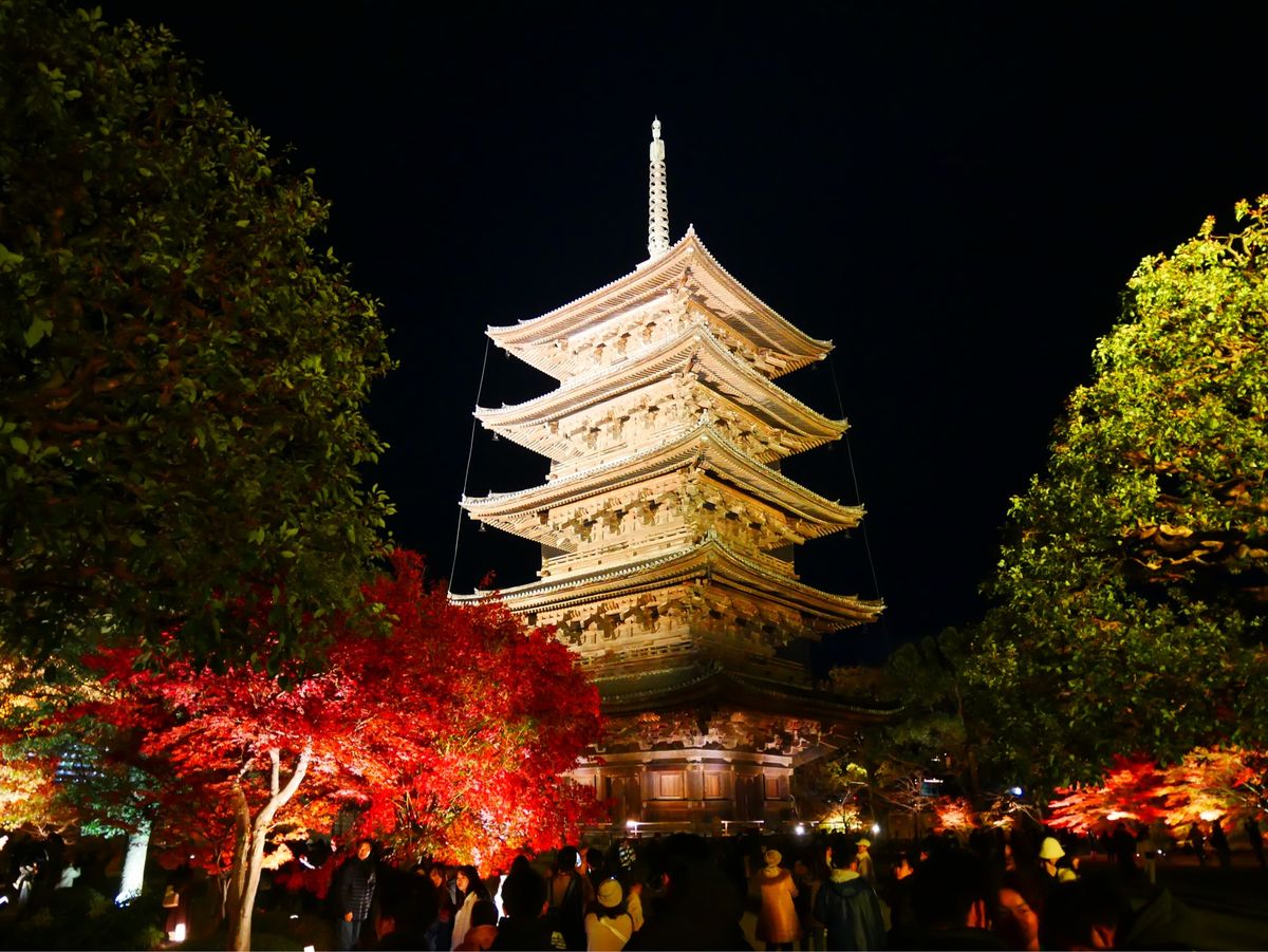 東寺 紅葉ライトアップ🍁