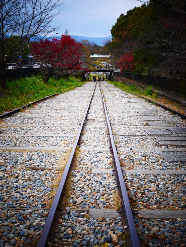 日本・京都府「京都 紅葉旅」の写真：蹴上インクライン