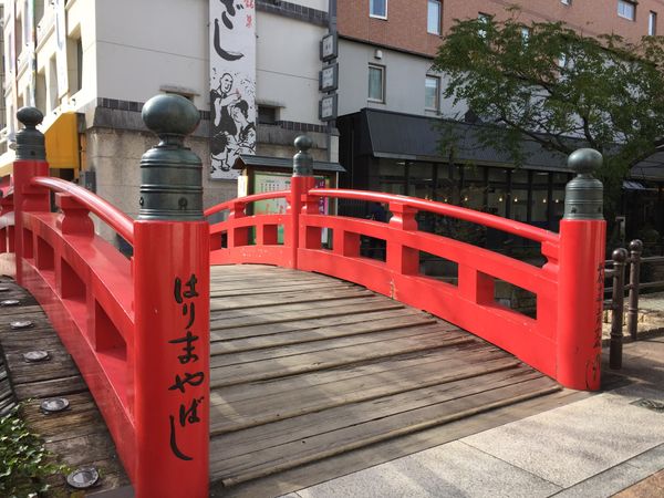 日本・高知「高知旅行」の写真