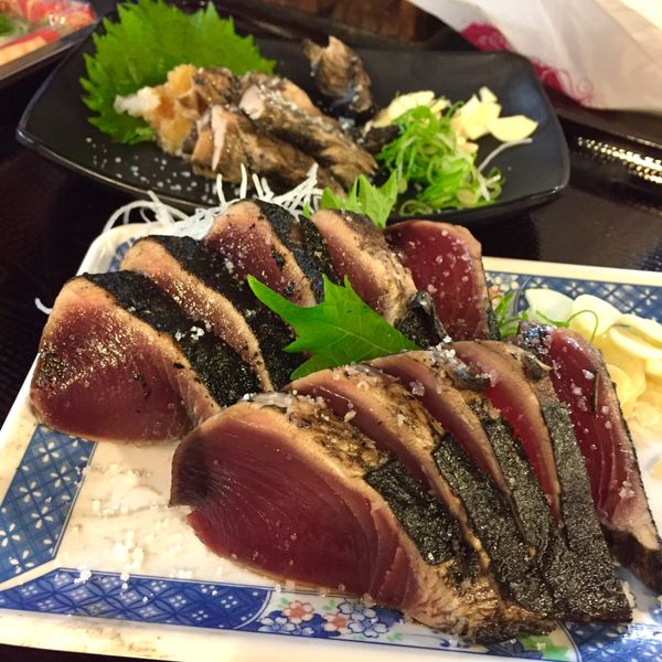 日本・高知「高知旅行」の写真