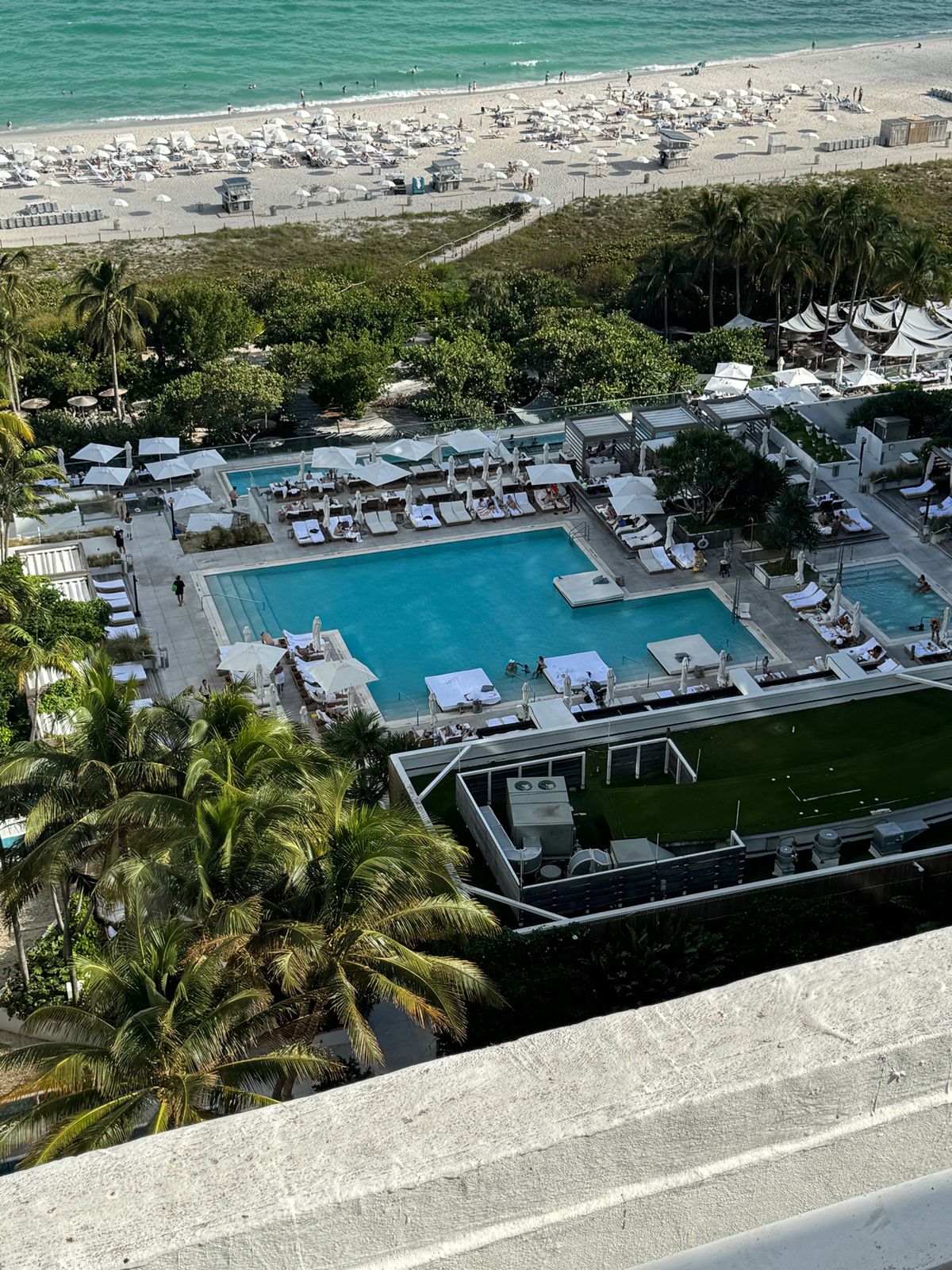 ２日目はマイアミビーチの結構いいホテル 1 hotel miami bea...