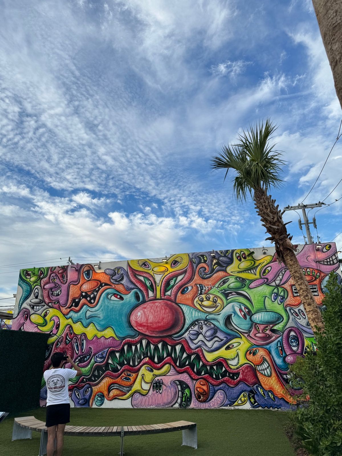 もともと落書きが多く治安の悪い地域を逆手にとって壁画を見せ物とした展示が面...