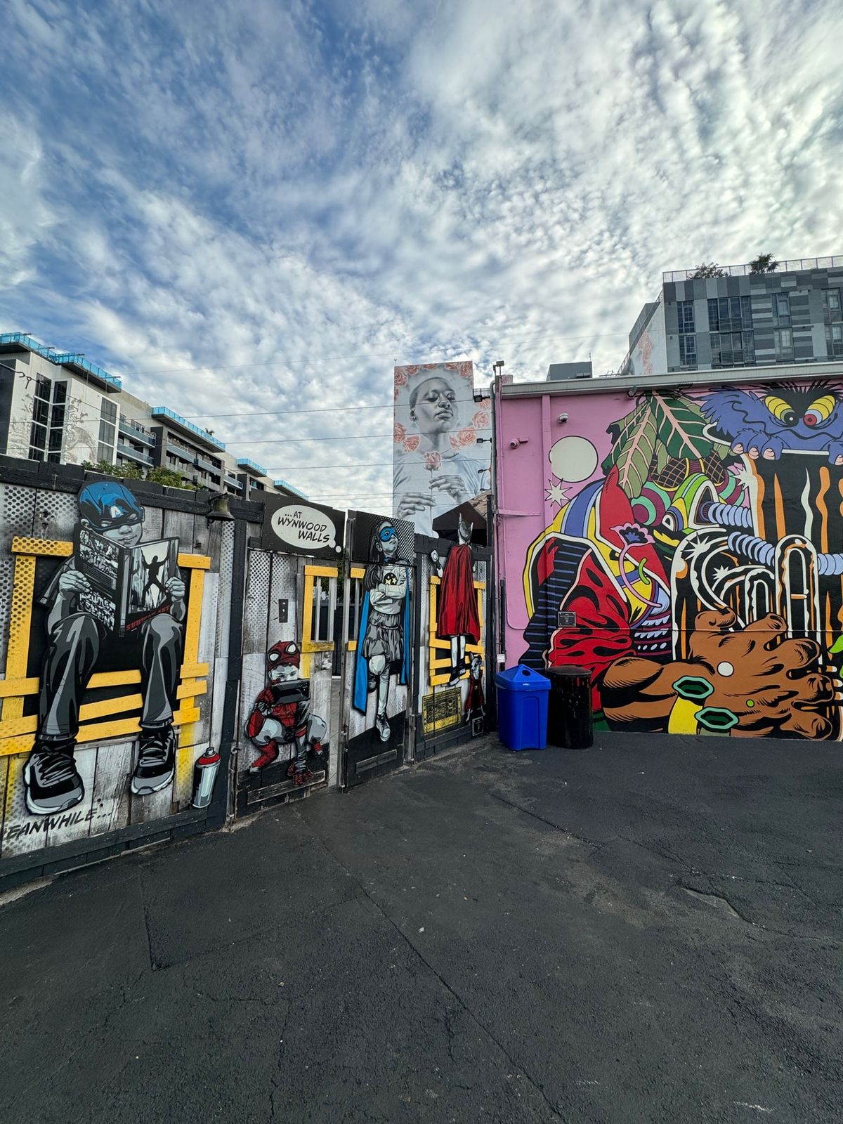 もともと落書きが多く治安の悪い地域を逆手にとって壁画を見せ物とした展示が面...