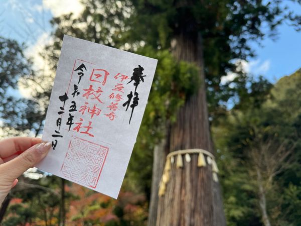日本・伊豆「(2023.12)修善寺旅行」の写真