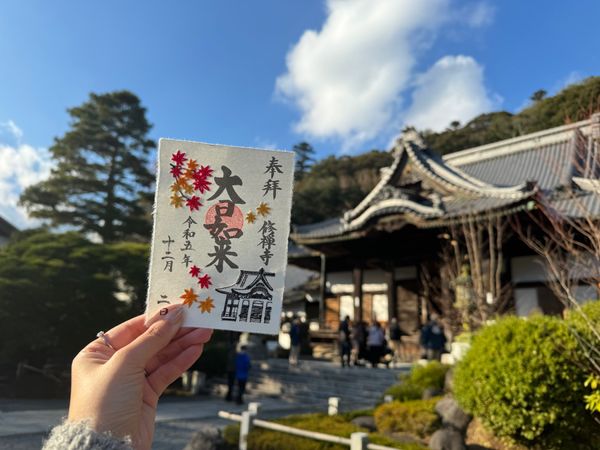 日本・伊豆「(2023.12)修善寺旅行」の写真