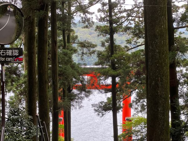 日本・箱根「(2023.9)箱根旅行」の写真