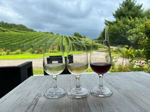 日本・北海道「(2023.8)北海道旅行」の写真