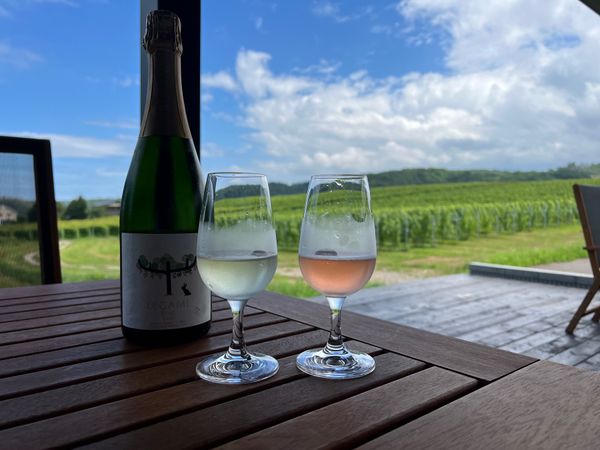 日本・北海道「(2023.8)北海道旅行」の写真