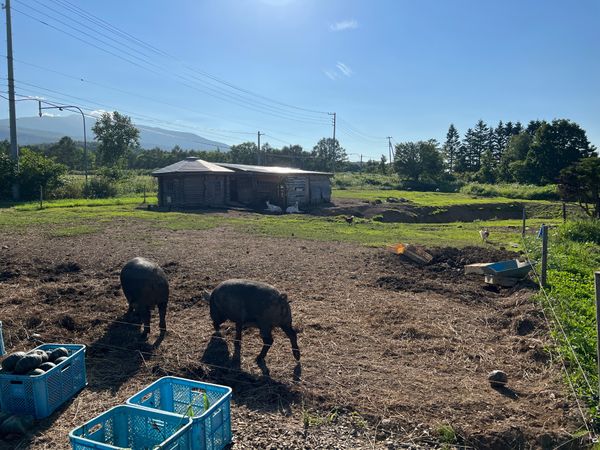 日本・北海道「(2023.8)北海道旅行」の写真