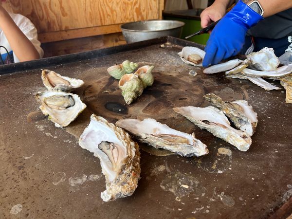 日本・北海道「(2023.8)北海道旅行」の写真