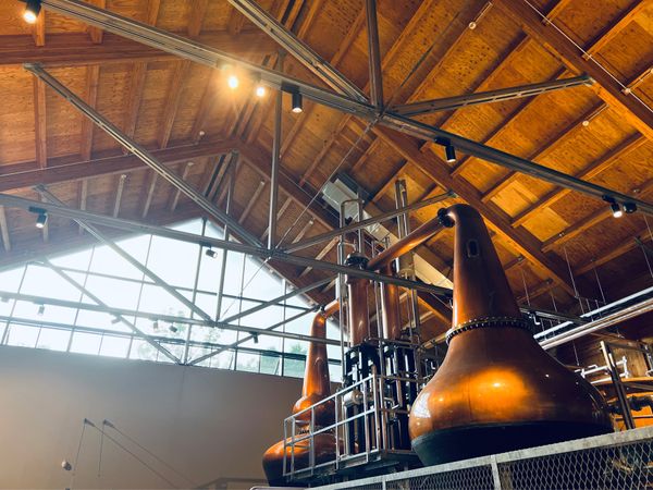 日本・北海道「(2023.8)北海道旅行」の写真