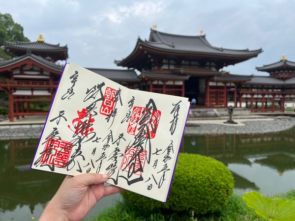 日本・京都府「(2023.7)京都女子旅」の写真