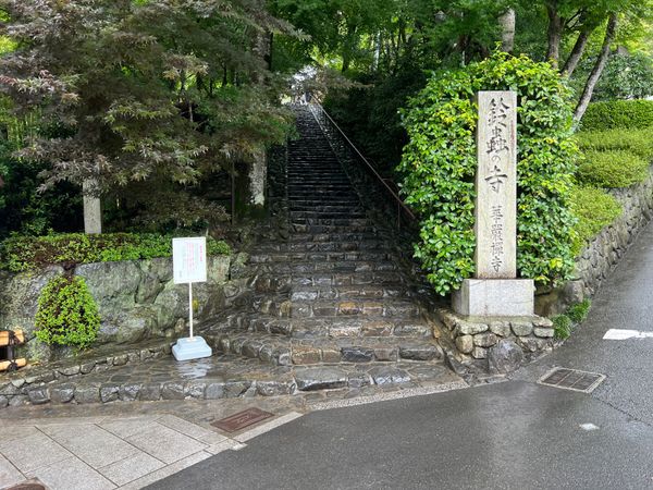 日本・京都府「(2023.7)京都女子旅」の写真