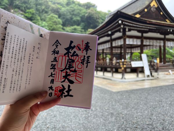 日本・京都府「(2023.7)京都女子旅」の写真