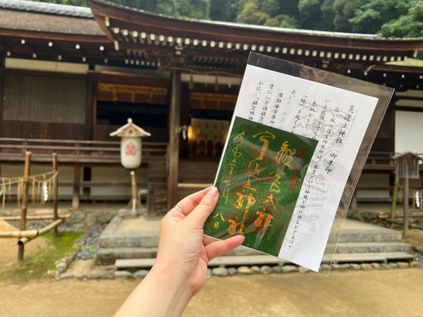 日本・京都府「(2023.7)京都女子旅」の写真