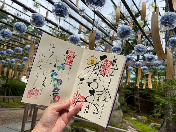 日本・京都府「(2023.7)京都女子旅」の写真