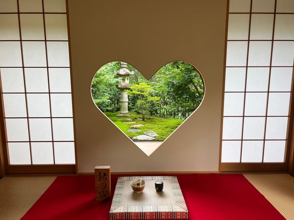 日本・京都府「(2023.7)京都女子旅」の写真