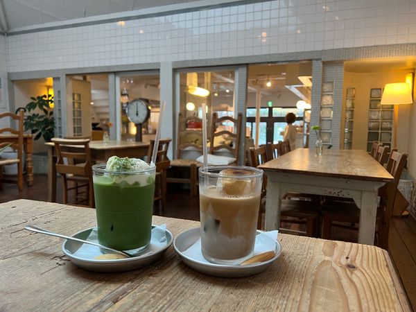 日本・京都府「(2023.7)京都女子旅」の写真