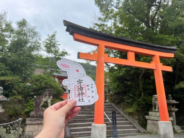 日本・京都府「(2023.7)京都女子旅」の写真