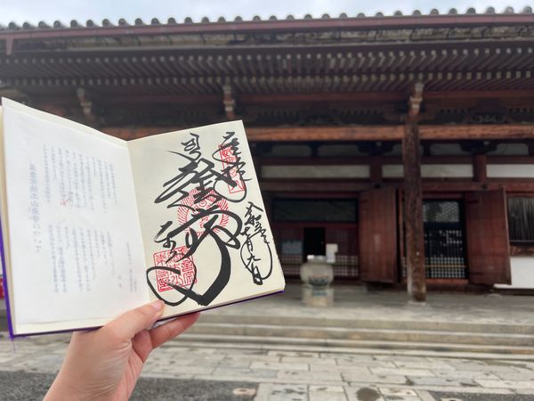 日本・京都府「(2023.7)京都女子旅」の写真