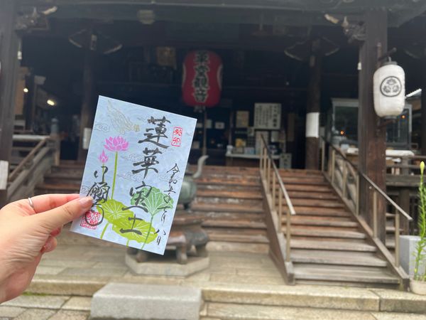 日本・京都府「(2023.7)京都女子旅」の写真