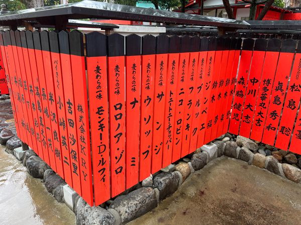 日本・京都府「(2023.7)京都女子旅」の写真