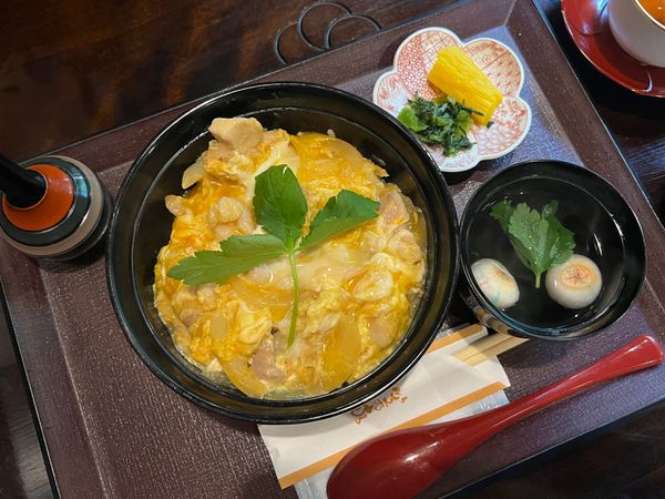 日本・別府「(2023.5)長崎・熊本・大分・福岡旅行」の写真