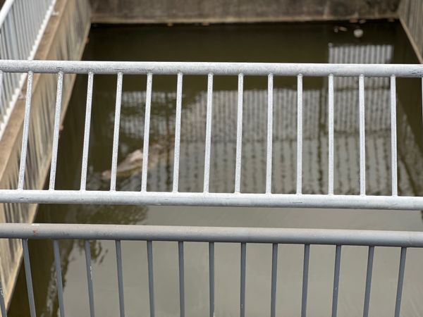 日本・別府「(2023.5)長崎・熊本・大分・福岡旅行」の写真