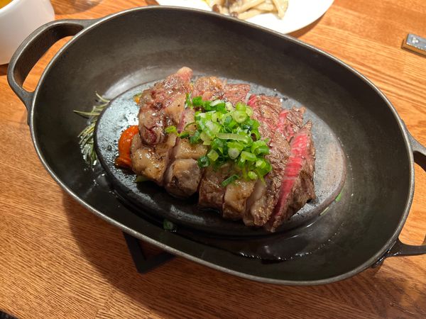 日本・山梨県「(2023.4)八ヶ岳旅行」の写真