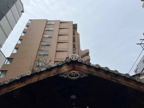 日本・京都府「(2023.3)京都夫婦旅行」の写真