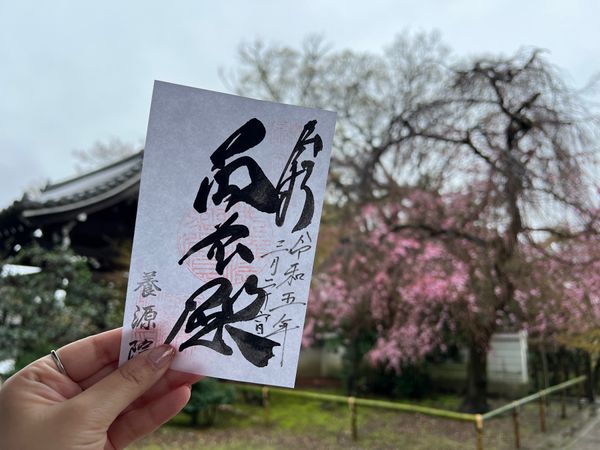 日本・京都府「(2023.3)京都夫婦旅行」の写真