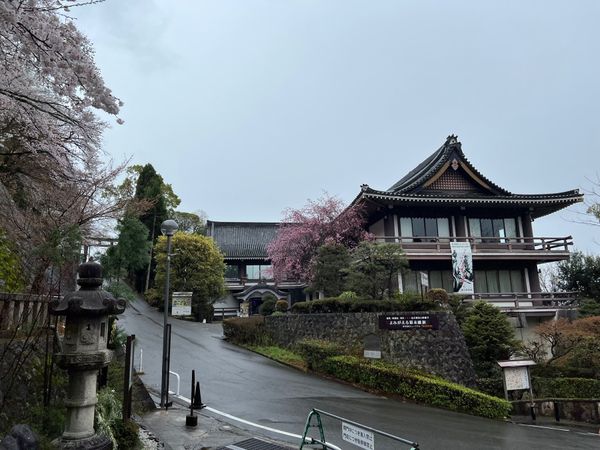 日本・京都府「(2023.3)京都夫婦旅行」の写真