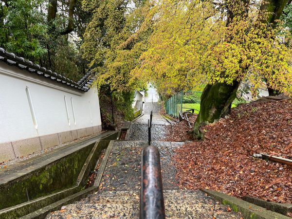 日本・京都府「(2023.3)京都夫婦旅行」の写真