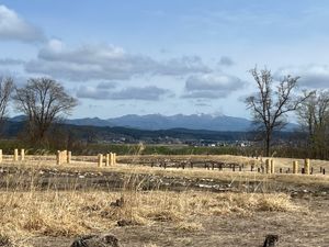 秋田県北秋田市
●伊勢堂岱遺跡（世界遺産）

大館から秋田に帰る途中にもう...