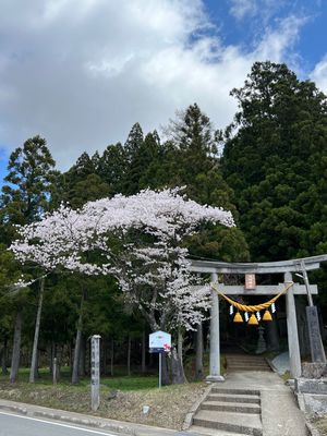 秋田県
●秋田空港のなまはげ
●藤里町　蛾瓏の滝
●藤里町　浅間神社の鳥居...