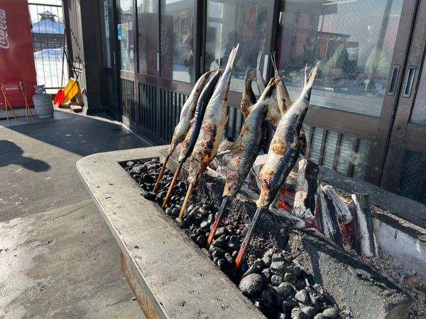 日本・北海道「(2022.12)北海道旅行」の写真