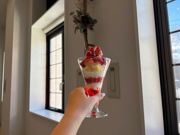 日本・北海道「(2022.12)北海道旅行」の写真