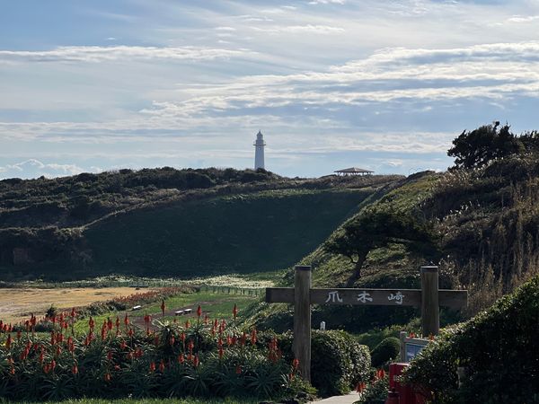 日本・伊豆「(2022.12)下田温泉旅行」の写真