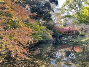 こちらも浜松城公園の紅葉