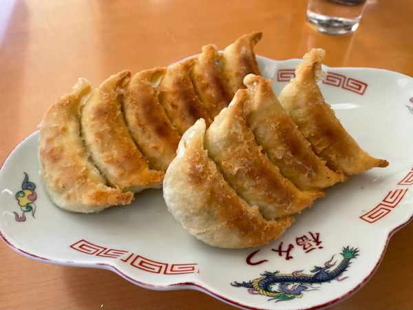 日本・静岡県「浜松城と浜松餃子」の写真：「むつぎく」で餃子を食べた後は餃子の梯子...