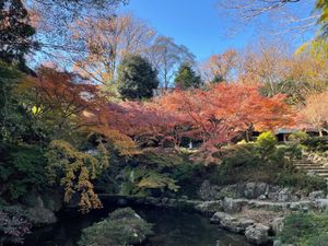 浜松城の後は浜松城公園へ。予想以上に紅葉が美しい場所でした。今年は紅葉が遅...