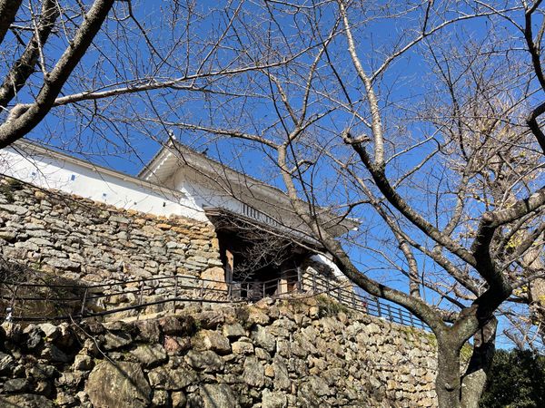 日本・静岡県「浜松城と浜松餃子」の写真：駅前からバスに乗って浜松城へ。家康が29...
