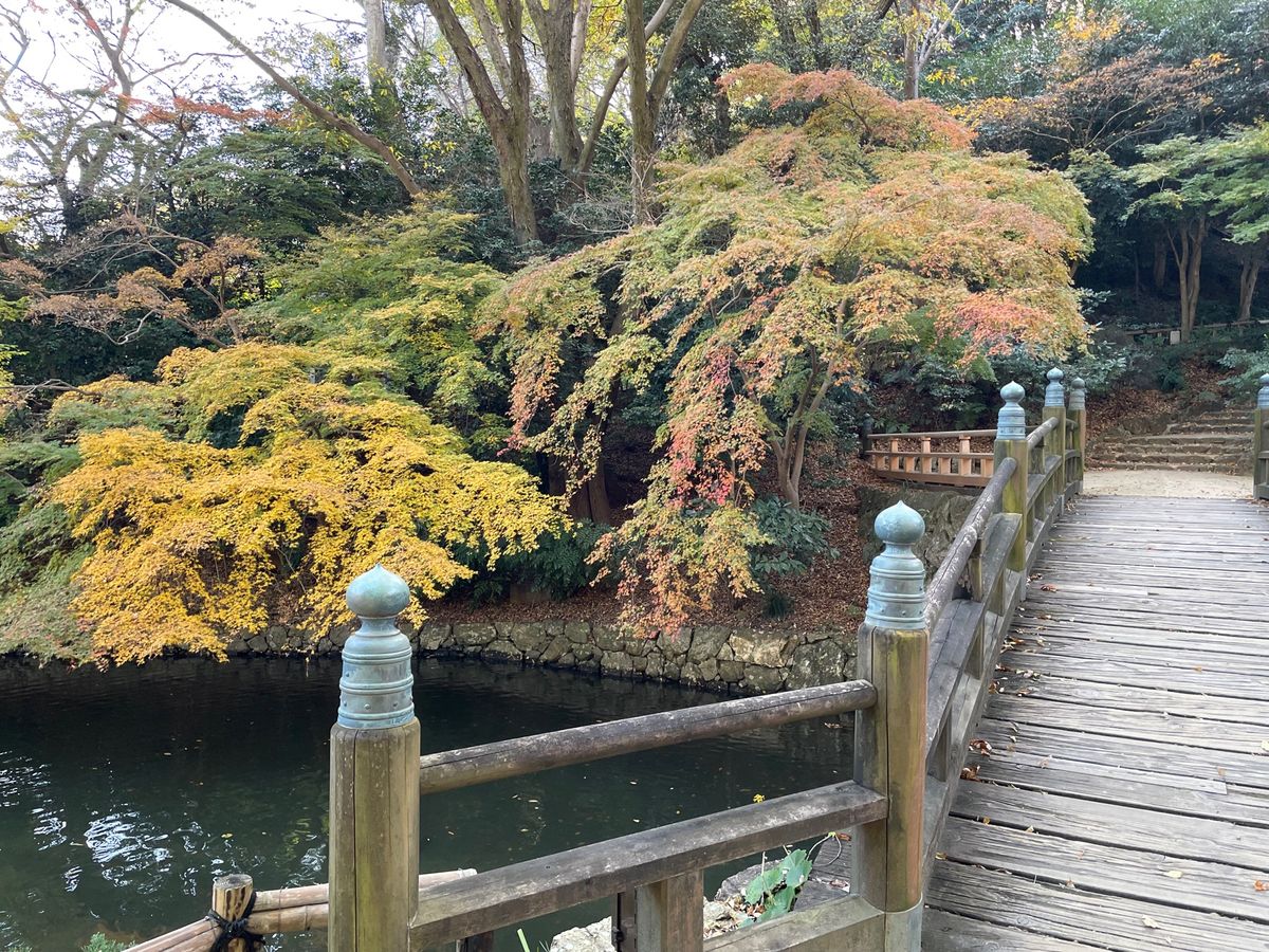 浜松城の後は浜松城公園へ。予想以上に紅葉が美しい場所でした。今年は紅葉が遅...
