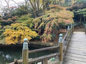 浜松城の後は浜松城公園へ。予想以上に紅葉が美しい場所でした。今年は紅葉が遅...