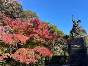 こちらも浜松城公園の紅葉