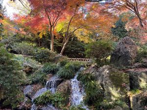 こちらも浜松城公園の紅葉