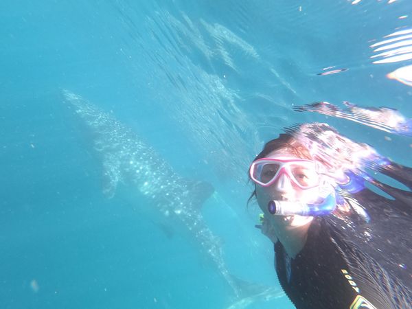 オーストラリア連邦・メルボルン「Australia🇦🇺」の写真