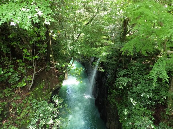 日本・宮崎県「宮崎」の写真
