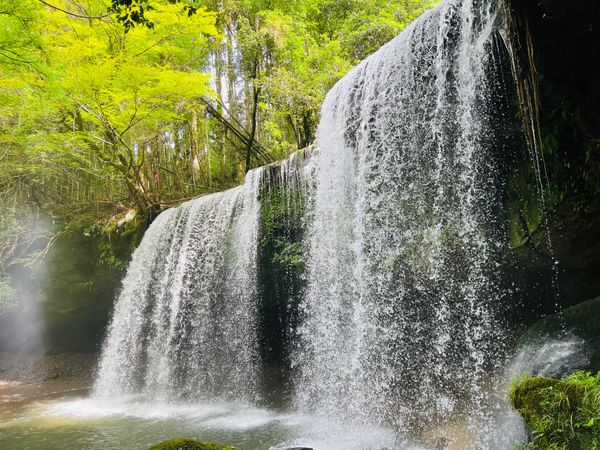 日本・熊本県「熊本」の写真