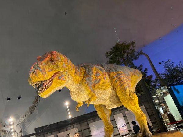 日本・福井県「福井」の写真